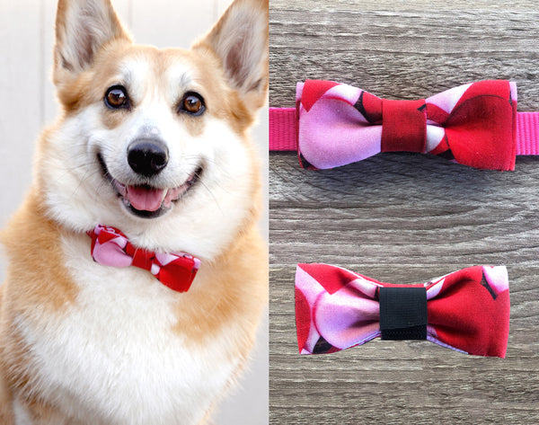 Bubble Party Dog Collar Bow Tie - Lilac Red Dog Bow